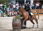 Pferd International 077